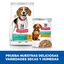 12 saquetas x 80 g Hill's Adult Science Plan Perfect Weight SmalleMini Guisado de Frango e Vegetais saqueta para cães Pack poupança!, , large Indicador imagem número 7